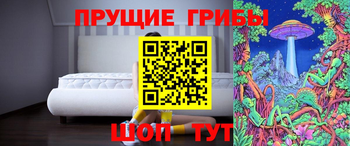 Истра  где купить   Вход с VPN  Галлюциногенные грибы Psilocybe 