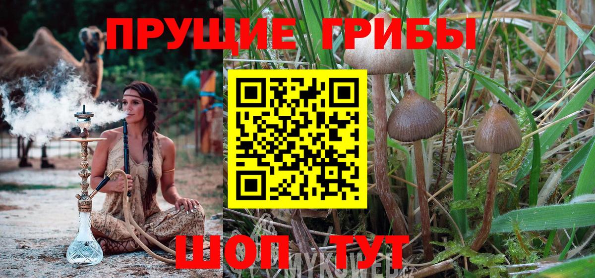 Галлюциногенные грибы мухоморы Истра